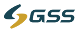 GSSTech Group